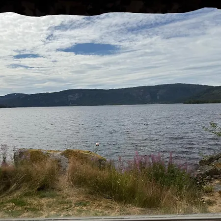 Longerak * Byglandsfjord